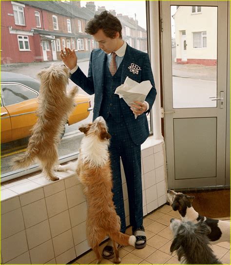 gucci dog campaign|gucci campaign harry styles.